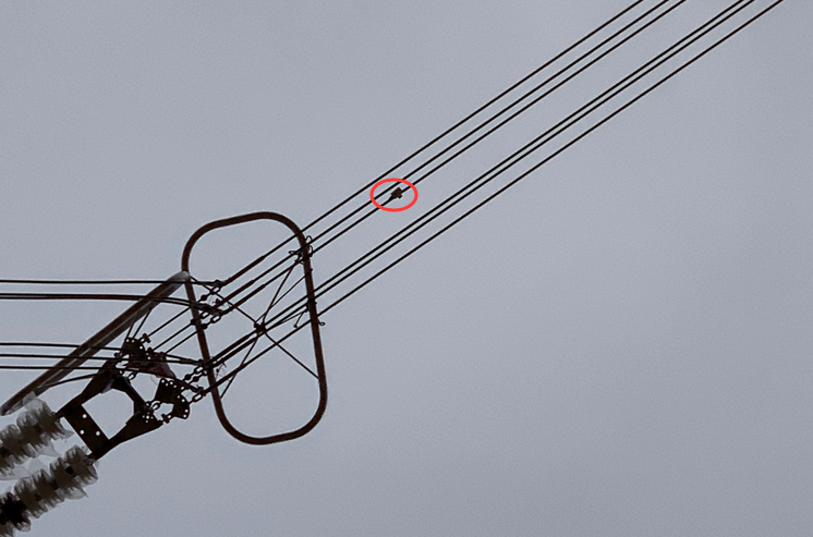 初心如磐，特力康高壓輸電線路導(dǎo)線溫度在線監(jiān)測系統(tǒng)