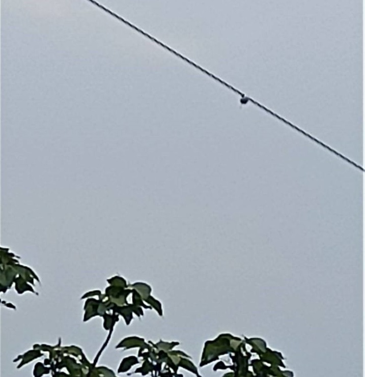 導(dǎo)線弧垂智能在線監(jiān)測系統(tǒng) 導(dǎo)線弧垂智能在線監(jiān)測系統(tǒng)